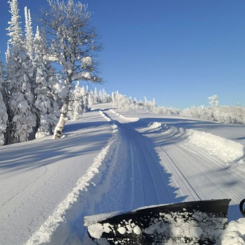 Screen-Shot-2022-01-19-at-12.01.38-PM